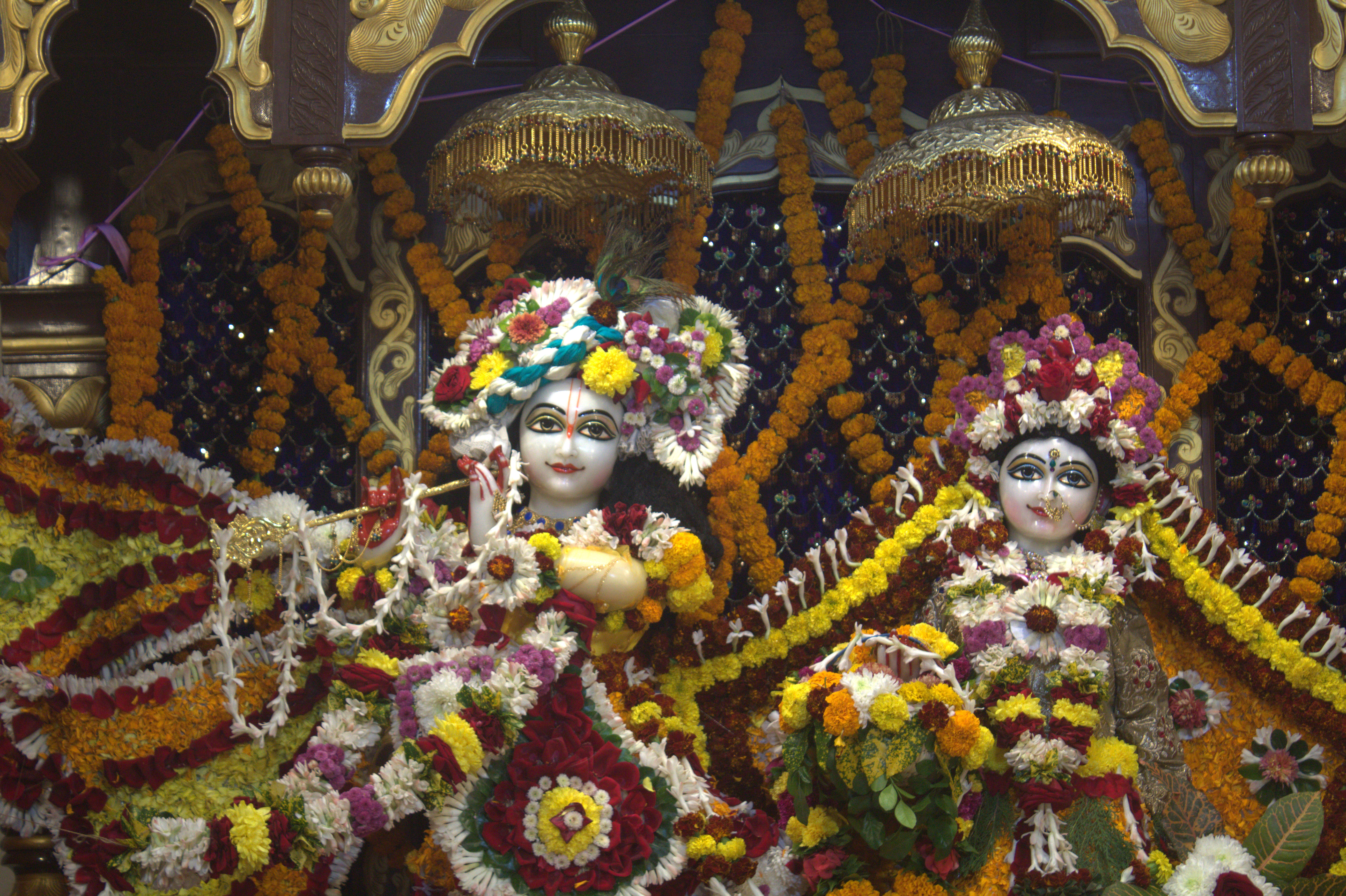 ISKCON Prasadam